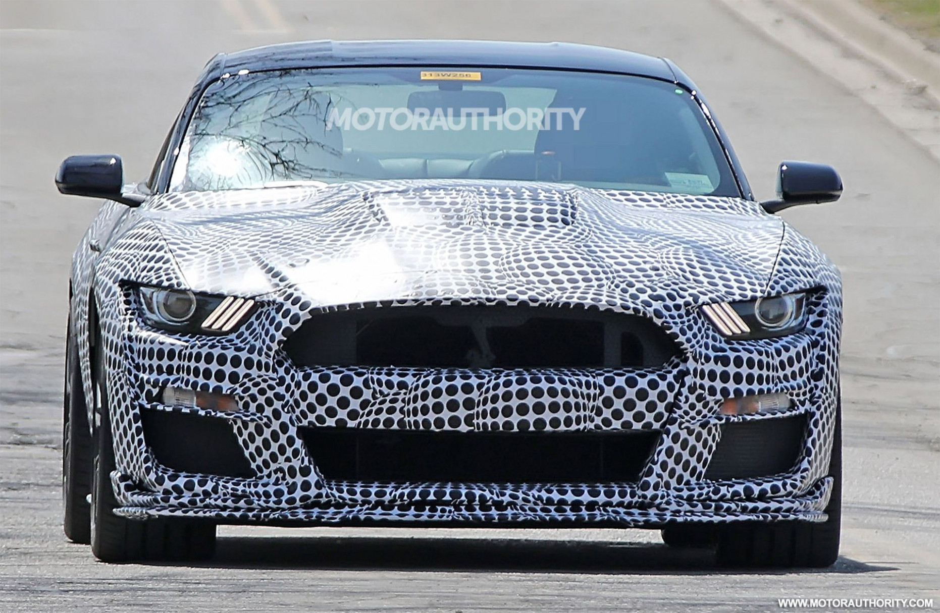 Reviews Spy Shots Ford Mustang Svt Gt 500