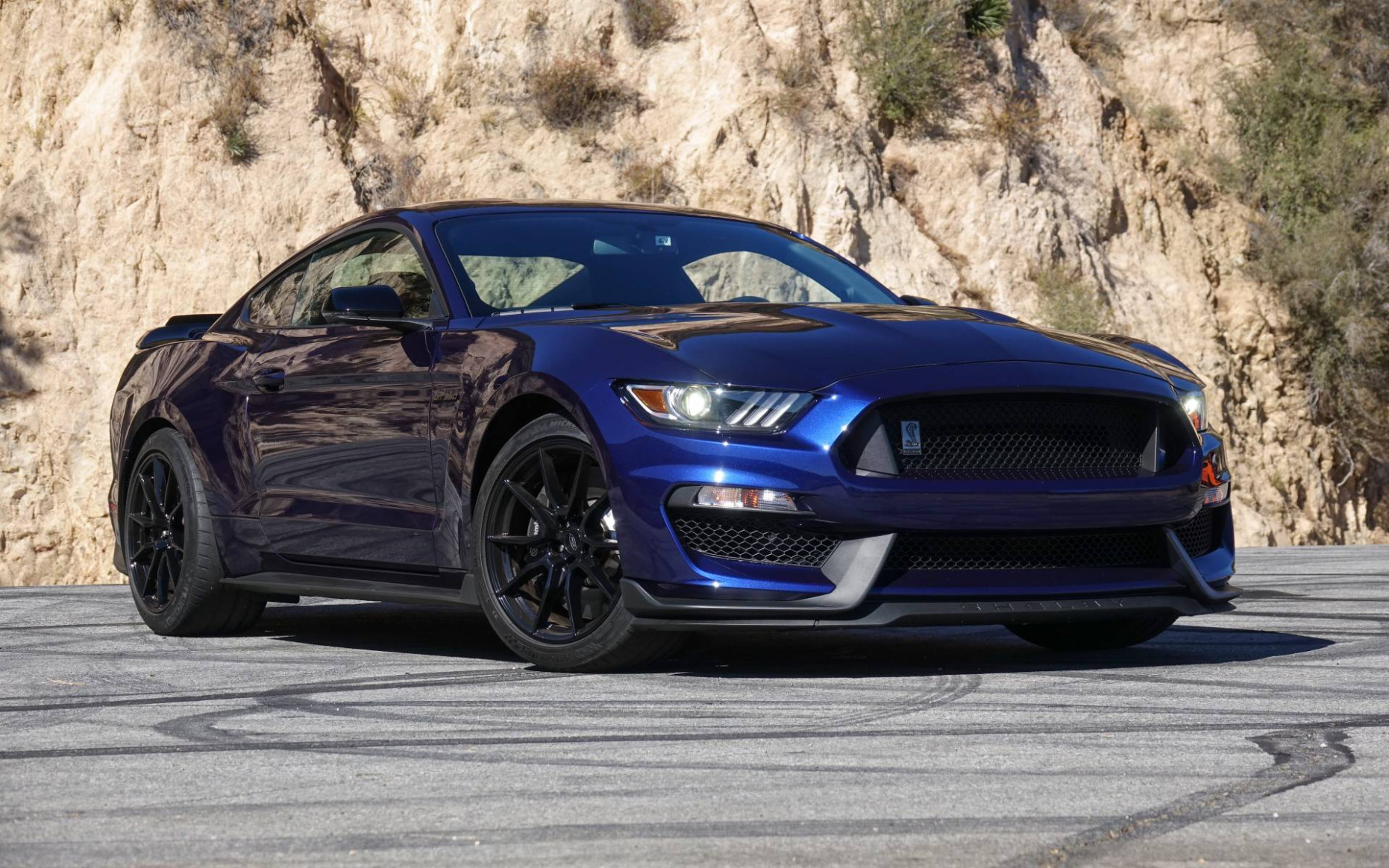 Picture Ford Shelby 2022