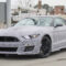 Research New Spy Shots Ford Mustang Svt Gt 500