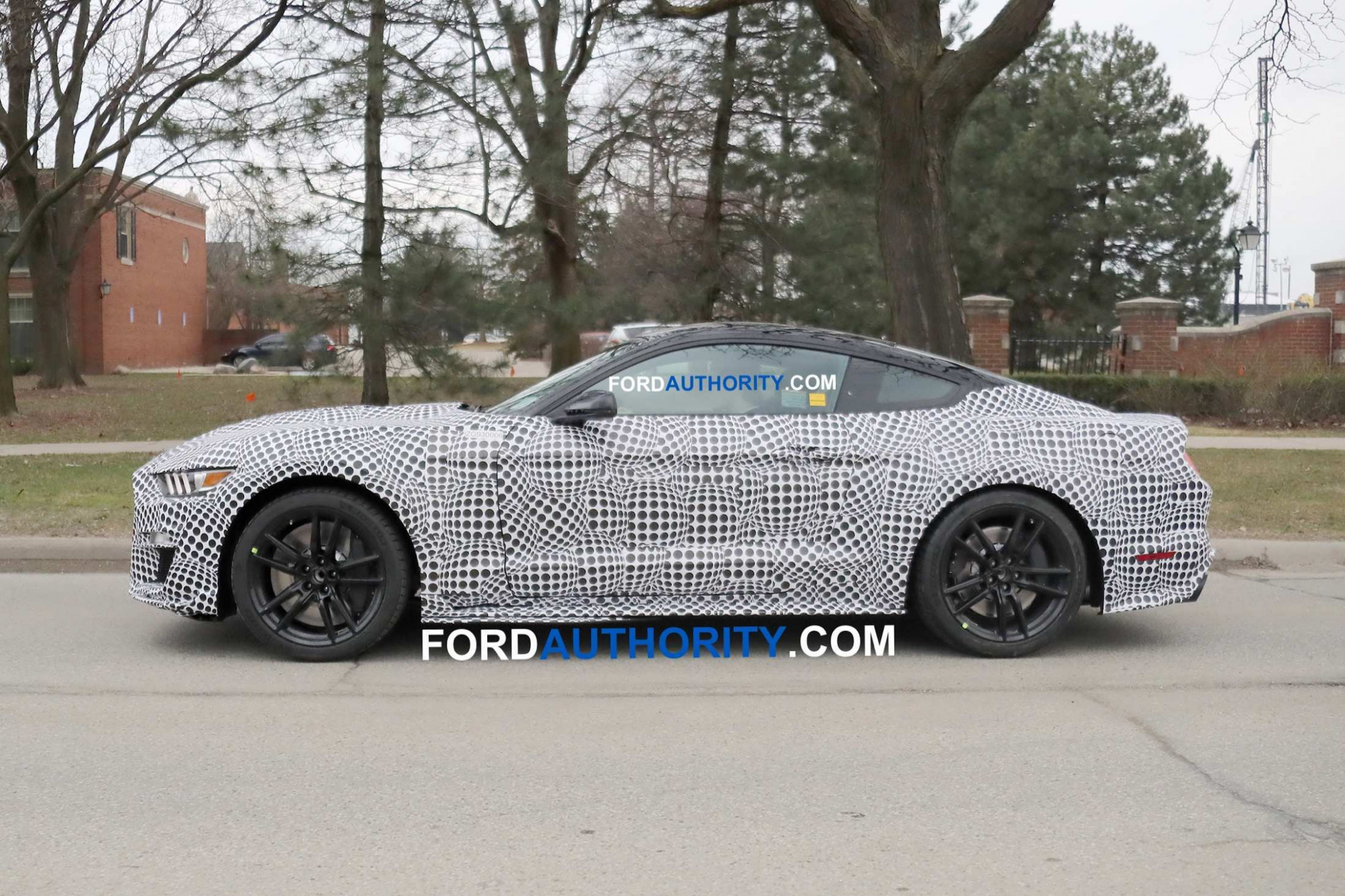 Pictures Spy Shots Ford Mustang Svt Gt 500