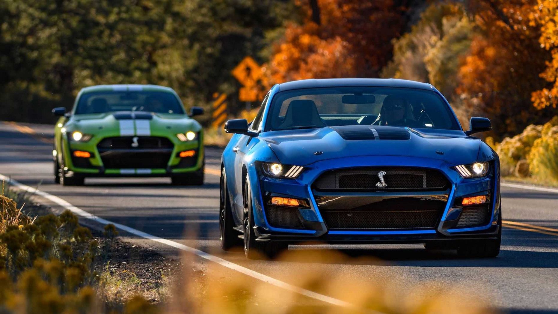 Ratings 2022 Ford Mustang Shelby Gt500