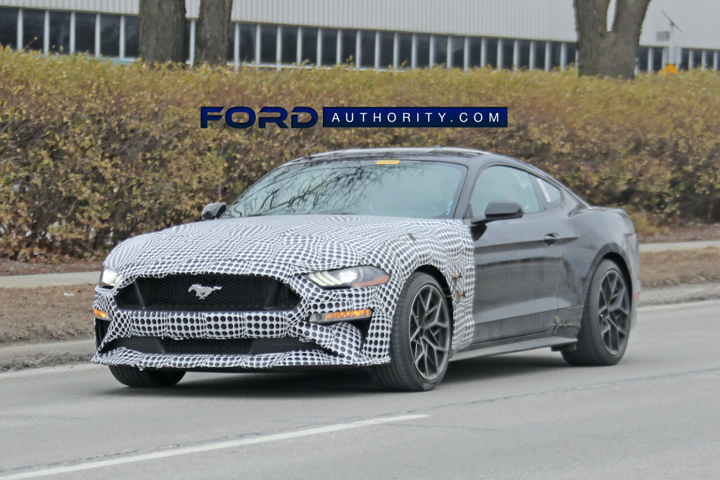 Specs and Review 2023 Ford GT350