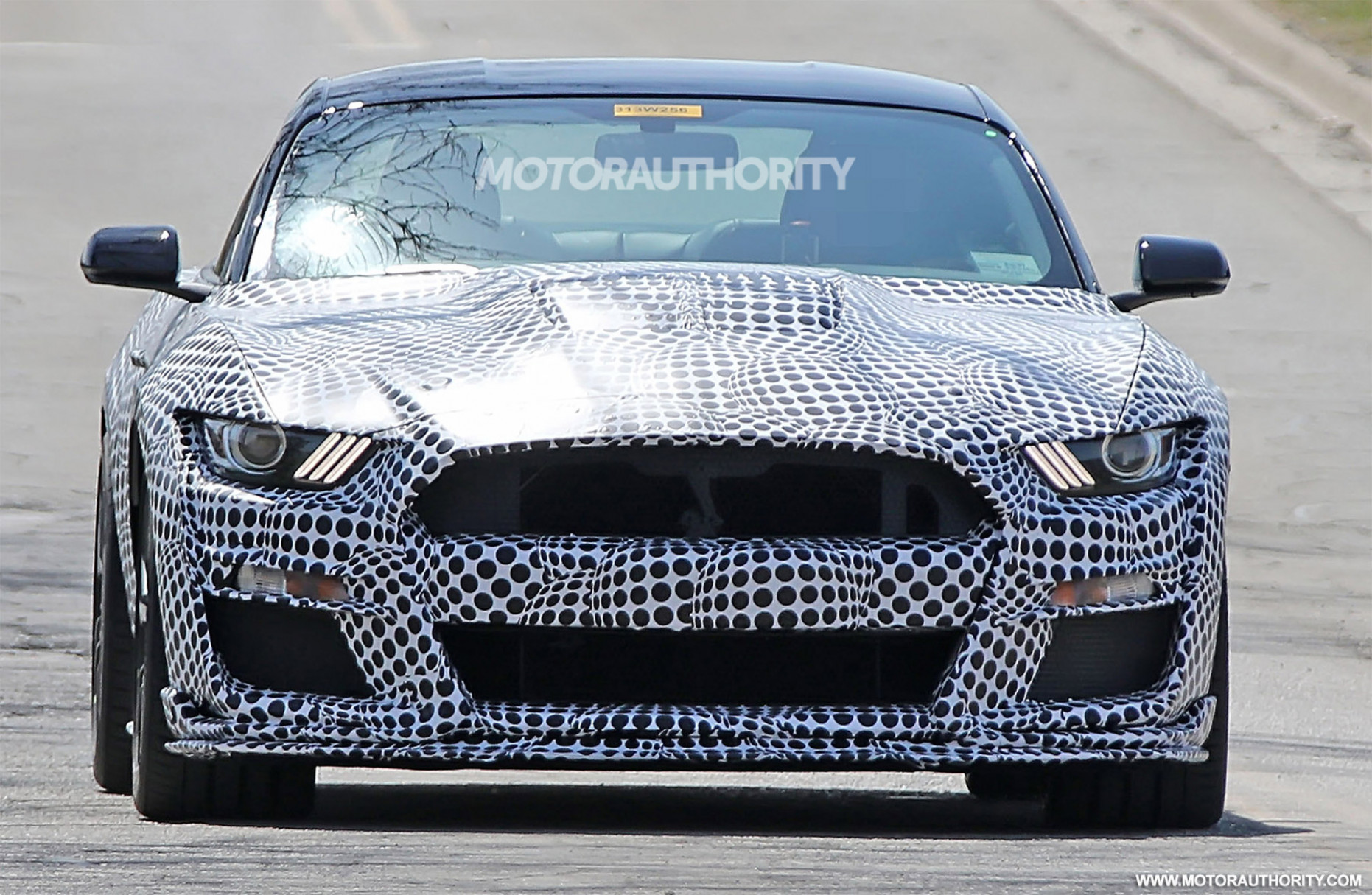 Release Date and Concept 2023 The Spy Shots Ford Mustang Svt Gt 500