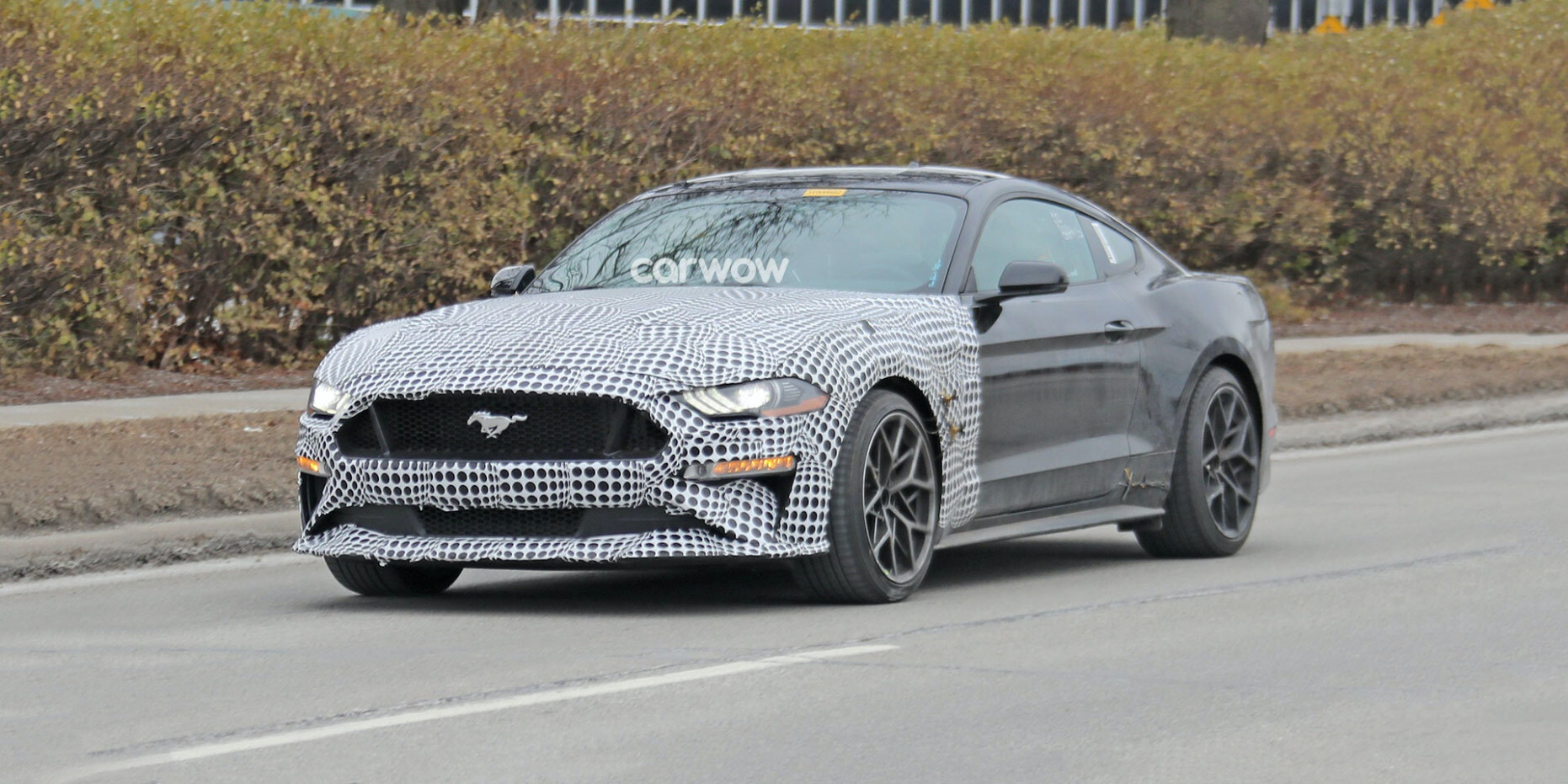 Spy Shoot 2023 Ford Mustang Gt500