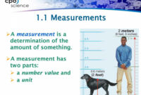 5 5 measurements a measurement is a determination of the amount of 1