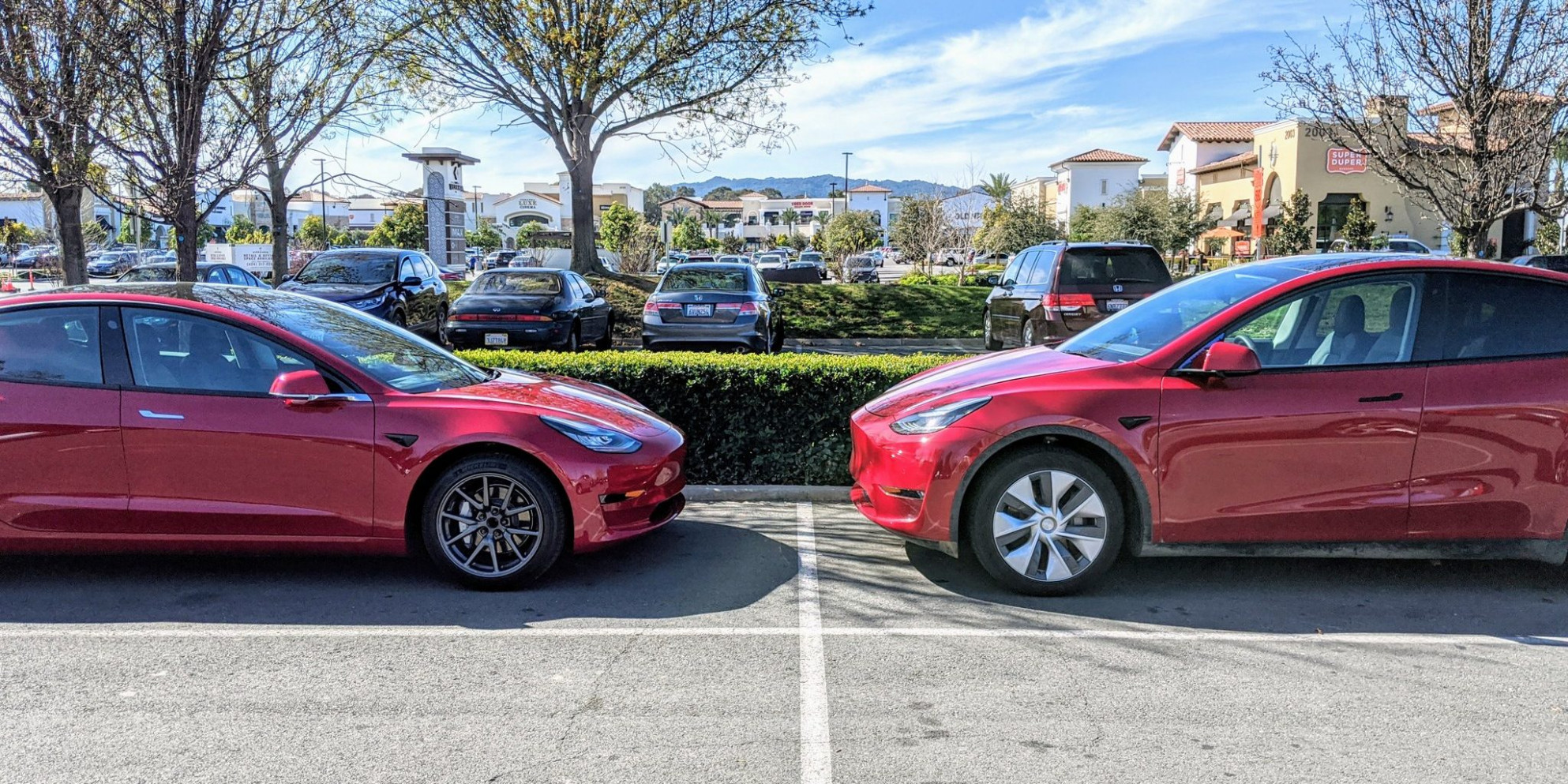 Another Tesla Model Y Size Comparison Shows Higher Ride Height Tesla Model Y Clearance